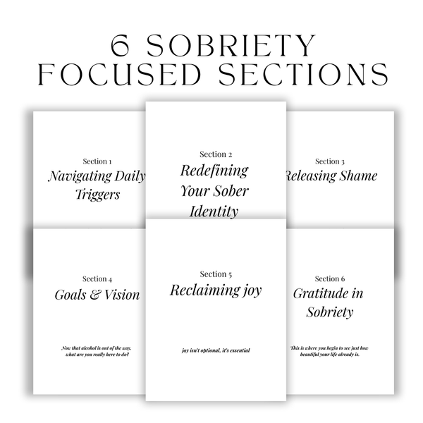 Six sections of the Daily Serenity sobriety journal with titles and brief descriptions.